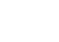 logo light